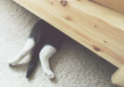 Under the bed