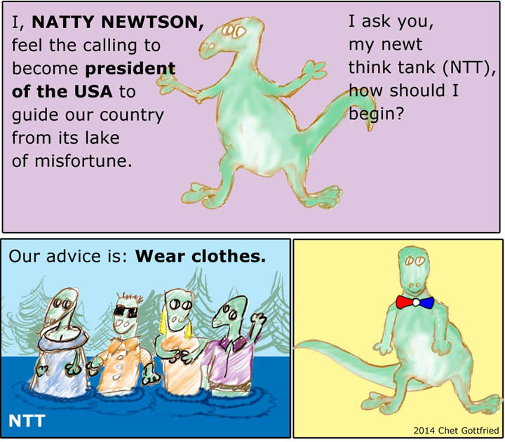 Natty Newtson for President