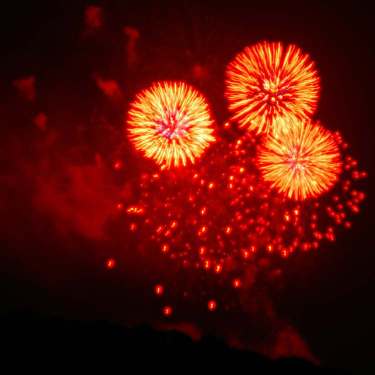 Firework 8