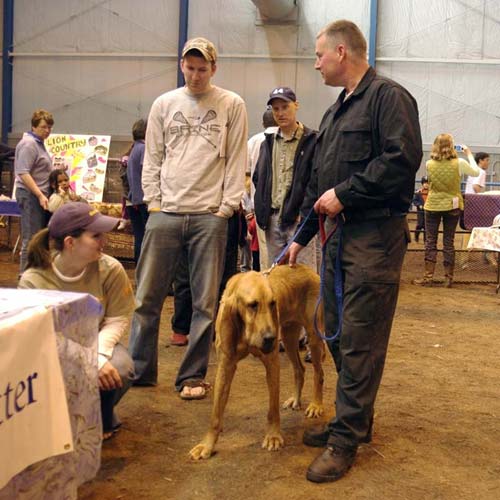 Mike Thees and bloodhound