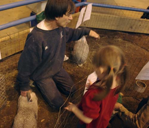 Mystique of petting giant rabbits